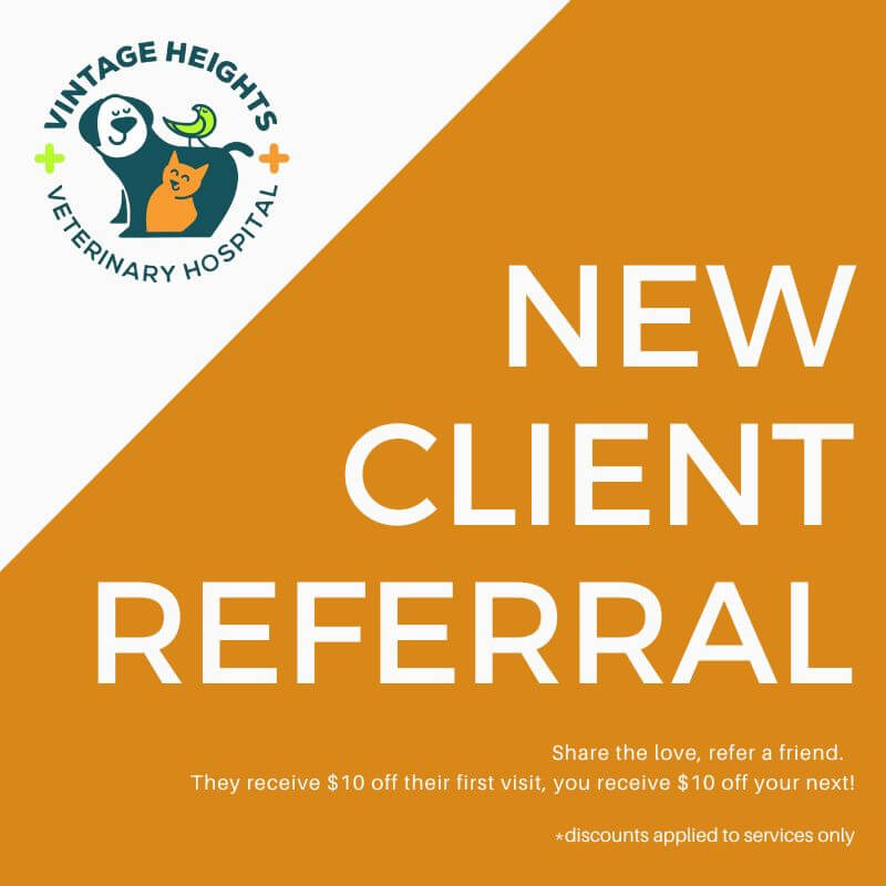 New Client Referral - Special Offers